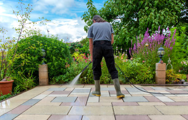Best Gutter Cleaning  in Millville, UT